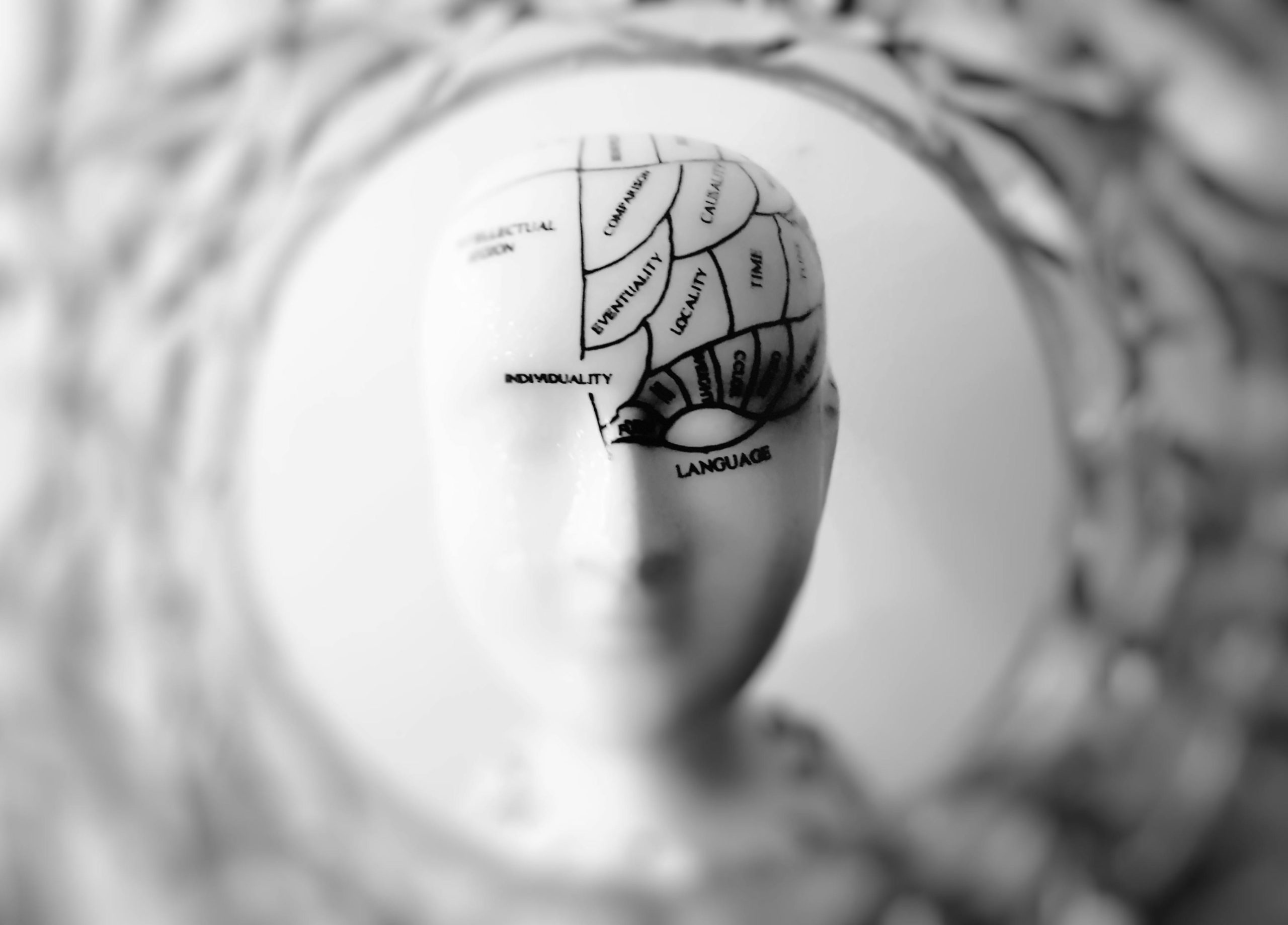 Brain activity visualization representing sleep cycles and hormone release